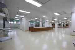無(wú)塵凈化室管理規(guī)范制度(整理版)